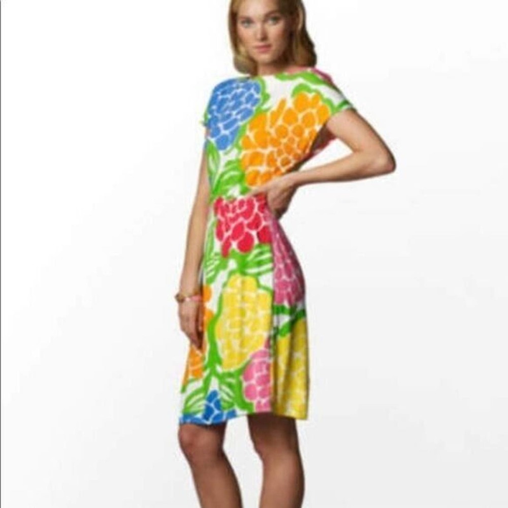 Lilly Pulitzer Sadie Dress Zinny Floral Smocked Waist Stretch Jersey Min…